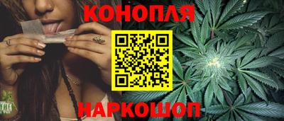 МДПВ Брянск